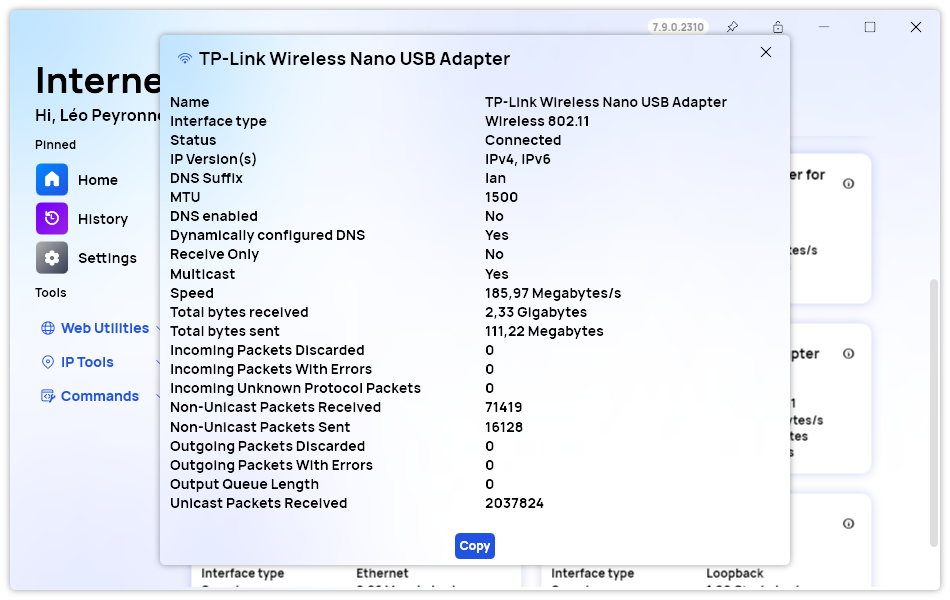 The Network Adapter details window opened, with the new Copy button