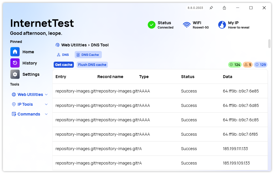 The new Overview section in the DNS cache