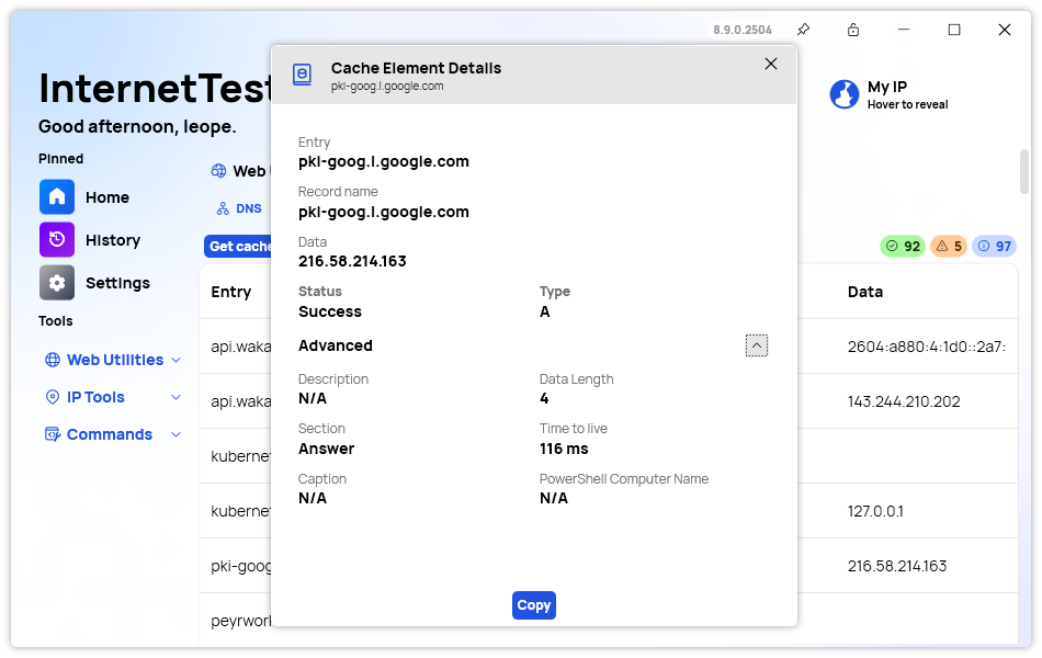 The new DNS Details Window